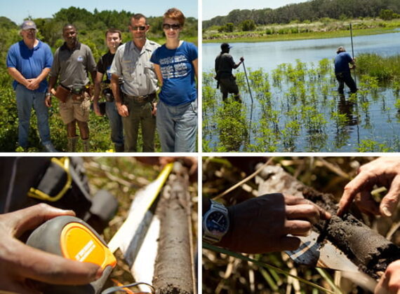 Clockwise from top left: The team– Terry McCloskey, Lawrence Kiage, Dan McCartha, Doug Hoffman, Amber Keller; Kiage and McCloskey dig using a “Livingston” corer for sediment samples; Kiage and McCloskey examine a sediment core for sandy layers; McCartha measures a sediment core.
